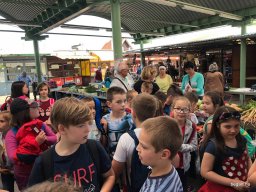 Fenntarthatósági témahét